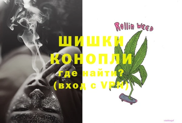 сатива Арсеньев