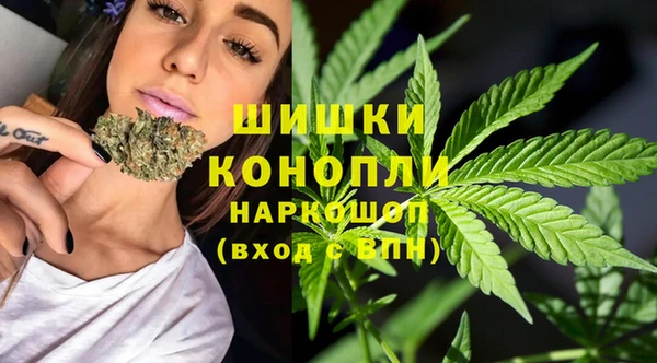 сатива Арсеньев