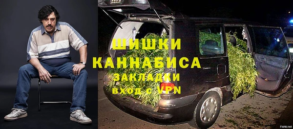 сатива Арсеньев